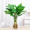 Planta Hidropónica en Maceta Dieffenbachia Perenne de Interior para Escritorio Verde Eneldo Rico Bambú Fácil de Cultivar Planta Purificadora de Aire