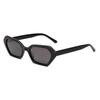Gafas de Sol Poligonales de Marco Pequeño Retro Nuevo Transfronterizo para Mujer, Estilo Europeo y Americano, Moda Irregular Ojo de Gato de Lámina