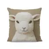 Funda de Almohada de Perro de Alpaca Más Vendida Transfronteriza, Linda Funda de Cojín Decorativa para Dormitorio de Gato, Hogar, Sofá