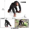 Juguete de Modelo Animal Sólido para Niños Simulación Primates Mono Gorila Simio Chimpancé Regalo Cognitivo