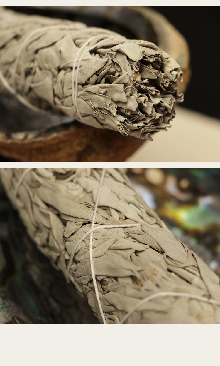 鼠尾草_13.jpg