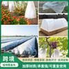 Tela Cubreplantas Transfronteriza Otoño e Invierno Tela No Tejida Manta Cubreplantas Verano Anti-UV Cubierta para Verduras y Frutas