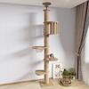Columna Tongtian Marco de Escalada para Gatos Nido para Gatos Integrado Superior Marco de Madera Maciza No Ocupa Espacio Juguete para Gatos para Apartamentos Pequeños Plataforma de Salto para Gatos