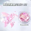 Acessórios para Nail Art Nova Tendência Caixa de Concha de Abalone Iridescente Concha Irregular Decoração DIY para Unhas Atacado