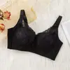 Sujetador Sexy Auténtico 8997 Cómodo con Acolchado Medio para Pecho Pequeño sin Aros