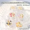 Xiaohongshu Decoração de Nail Art Borboleta com Gradiente de Cor Pacote Misto de Materiais para Unhas com Contas de Aço Pérola e Contas Sinfonia Borboleta