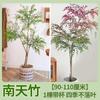 Dropshipping Flame Nandina Mudas em vasos Sala de estar Plantas verdes Pátio ao ar livre Plantas de chão Grandes mudas de bambu
