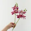Directo del fabricante: flores artificiales, orquídeas Phalaenopsis de tallo corto y tres puntas, adecuadas para tapicería suave, paisajismo, arreglos florales, plantas en maceta y como materiales florales decorativos