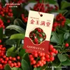 Etiqueta de Mantenimiento para Cuenta de Jade Rojo Fruto de Espino Amaryllis Kumquat Planta Verde de Interior en Maceta Decoración de Flor de Nochevieja Tarjeta Colgante
