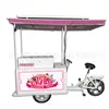 Triciclo Solar para Helados de Exterior con Congelador Incorporado, Carrito Vendedor de Paletas, Puesto Móvil de Bebidas Frías para Puestos de Mercado