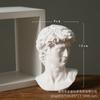 David Mini pequena resina imitação gesso estátua estilo europeu cabeça retrato ornamentos estilo nórdico figura esboço escultura árvore