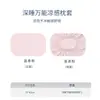 Mismo modelo de Sam de fundas de almohada pequeñas clase A de piel de hielo, fundas de almohada de seda de hielo al tacto fresco, juego de dos, cubierta interior de espuma viscoelástica de verano