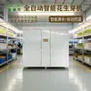 Máquina de Broto de Amendoim Totalmente Automática, Equipamento Comercial para Broto de Amendoim, Máquina Hidropônica de Broto de Amendoim, Máquina Inteligente de Broto de Amendoim