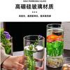 Vaso de Vidro Reto Atacado Transparente Redondo Hidropônico Minimalista Ornamento Arranjo de Flores Estilo Ins Alta Estética Decoração de Interior