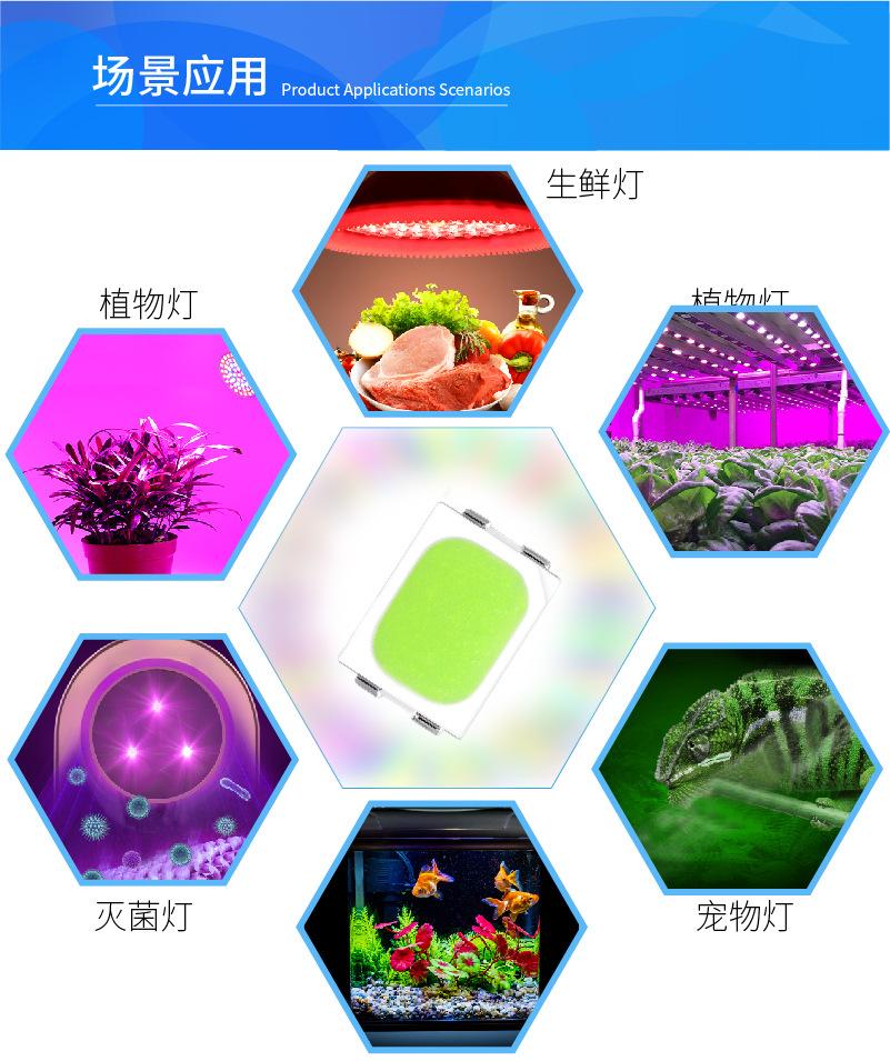 B详情3020-04