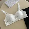 Ropa Interior Fina y Transpirable de Venta Caliente Transfronteriza del Sudeste Asiático para Estudiantes de Secundaria, Sujetador Cómodo de Reunión para Pecho Pequeño para Mujeres