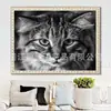 Pintura de Diamante 5D nova transfronteiriça diy diamante completo série animal Padrão preto gato pintura decorativa fábrica atacado suprimento de comércio exterior