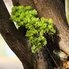 Cor de Outono Dourado Ramo de Pinheiro Folha de Cipreste de Rocha Ramo de Pinheiro de Plástico Planta Verde Falsa Folha de Pinheiro de Saudação de Convidados Ramo