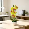 Bacia nova onda transfronteiriça 7 orquídeas Phalaenopsis vaso de flores simulação paisagem fotografia de casamento decoração de fotos flores artificiais pequenas plantas em vaso