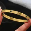 Pulseira de Aço Titânio, Pulseira de Unha com Zircônia para Mulheres, Sensação de Alto Padrão, Popular na Europa e América, Joia de Pulseira Aberta que Não Desbota