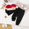 Conjunto de sudadera con bloques de color y oso para niño, colección de otoño, top de cuello redondo y pantalones largos, conjunto casual de dos piezas para niño, venta al por mayor