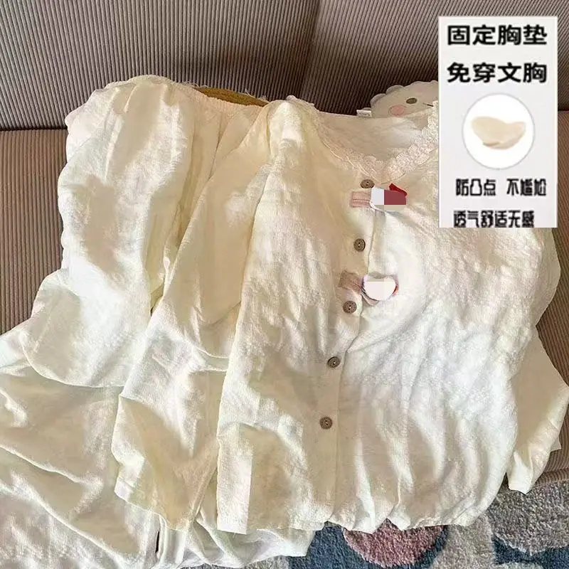 9036杏布猫-长开