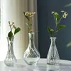 Vaso Pequeno Retrô Francês Vidro Embossado Mini Vaso Estilo Ins Transparente Hidropônico Arranjo de Flores Ornamentos Decorativos para Sala de Estar