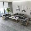 Apartamento pequeño nórdico, salón de belleza, ocio, sofá de tela, mesa de centro, combinación, oficina, recepción, zona de espera