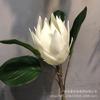 Flores Artificiais Estilo Europeu Atacado Flor Imperial Única Decoração para Sala de Estar Sala Modelo Decoração de Casamento Enfeites de Flores Artificiais Decorações Macias