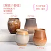 Maceta para pulgar suculenta mini mini maceta para pulgar maceta de cerámica para flores suculentas planta creativa flor pequeña Ma Long mesa Mai Tai Bao
