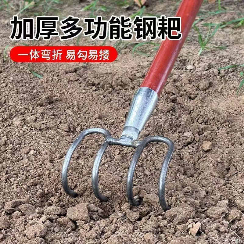 微信图片_20250307222500