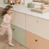 Estilo Nórdico Creativo Trébol de Cuatro Hojas Manija de Aleación de Zinc, Lujo Ligero Concha de Perla Manija de Puerta de Gabinete de un Solo Agujero Cobre Cepillado