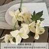 Nueva flor artificial de champán para el hogar, sala de estar, mesa de centro, exhibición de flores, boda, fondo de boda, decoración de pared, flor falsa