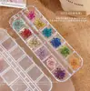 Decoraciones para Uñas con Flores Secas al Aire Estilo Japonés 2026 Nuevas Naturales Frescas Coloridas Flores de Cinco Pétalos Decoraciones para Uñas