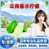 Seleção Cuidadosa Limão Perfumado de Hainan Compra no Atacado Ingredientes de Frutas Frescas / 2 Jin / 1 Jin 5-7 Frutas Frescas