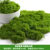 Césped de Musgo Artificial para Paisajismo Biónico Musgo Falso Adornos para Arreglos de Micro Paisajes Decoración de Pavimentación Césped Bonsái Planta en Maceta