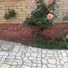 Moldes de Cemento, Moldes para Adoquines, Modelos de Cemento, Moldes para Azulejos de Piso de Color Piedra, Moldes para Patios de Jardín