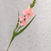 Orquídea Espada Artificial Buquê de Casamento Adereços Decoração de Casa Fotografia Delfínio Decoração Suave Arte Floral Flores de Seda