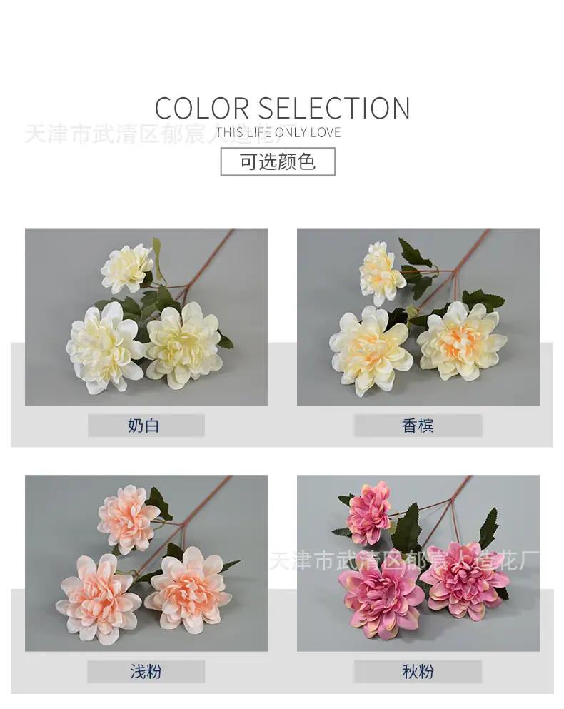 详情_02.jpg