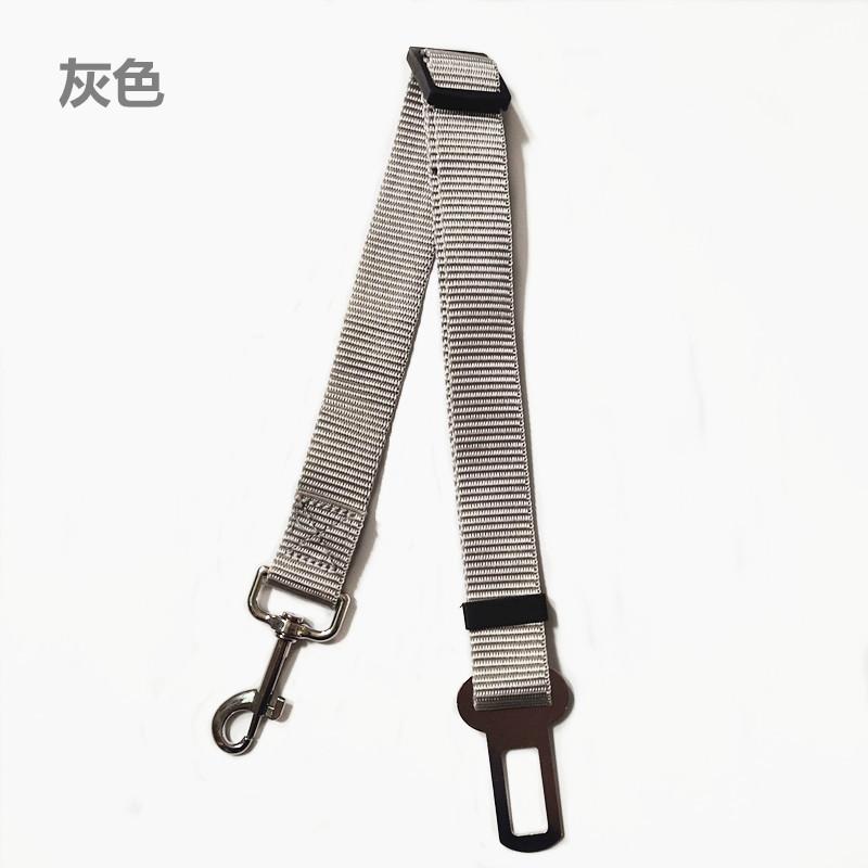 QQ图片20191112184516_副的