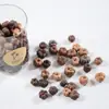 Planta Hecha a Mano Fruta Seca DIY Vela Aromática Bosque Colgante Decoración Navideña Flor Seca Creativa Paquete de Materiales Culturales y Creativos