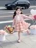 Conjunto de cárdigan estilo princesa y falda de tul para niña, Nuevo conjunto de otoño 2026 para niños, Conjunto de dos piezas con vestido de manga larga