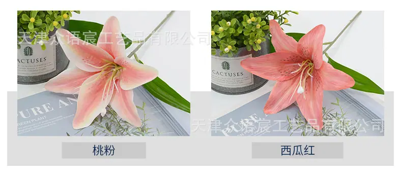 详情_04.jpg