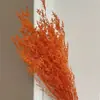 Flor Eterna Grama do Amante de Flores Flores Secas 120g/Buquê Buquê de Dia das Mães Material de Flor Seca DIY Vela de Aromaterapia Flor Flutuante