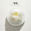 Flor de Porcelana Aromaterapia Difusor Hecho a Mano Regalo para el Hogar Adornos Set de Caja de Regalo Flor de Porcelana Loto de Nieve Aceite Esencial Regalo Flor