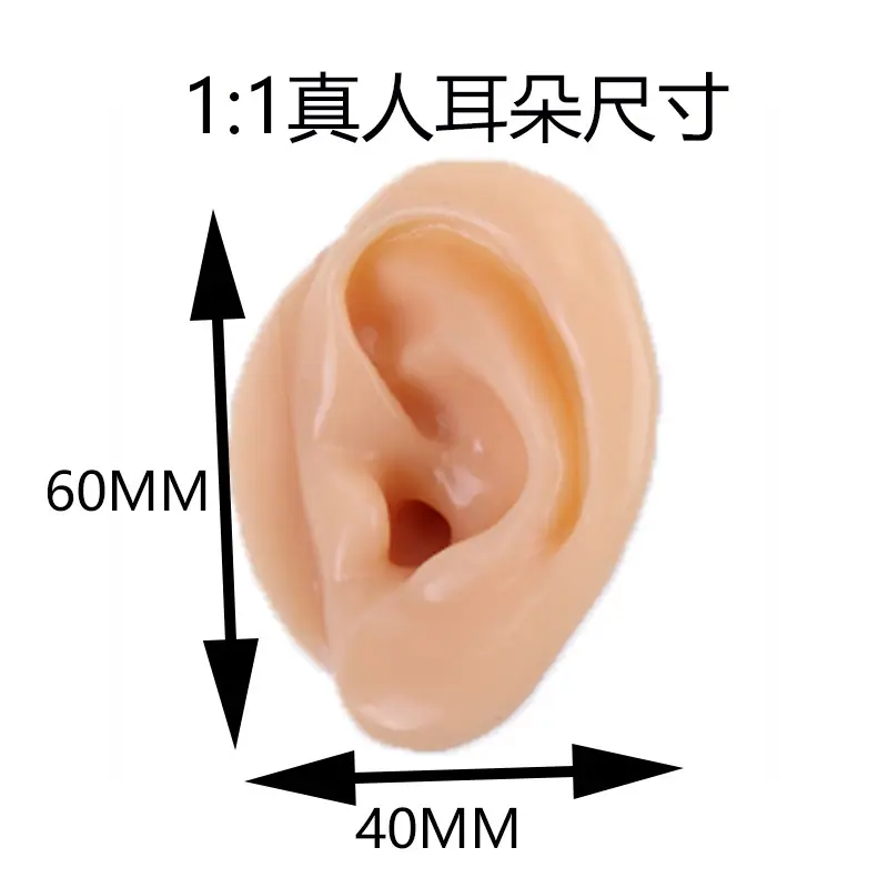 4x6 800X800