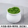 Venta al por mayor de fábrica de bonsáis, macetas de plástico, plantas suculentas, plantas verdes de escritorio de cerámica, juegos de macetas M