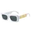 Nuevas gafas de sol cuadradas transfronterizas 2023, gafas de sol de calle versátiles de diseñador de marca simple de moda europea y americana para mujer