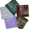 Fornecimento Transfronteiriço Lenço Quadrado de Poliéster com Estampa Paisley Flor de Caju Lenço Mágico para Uso ao Ar Livre Estilo Ciclismo Fabricante Fornecimento