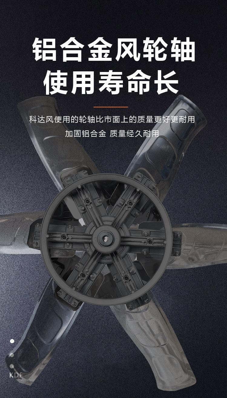 抖店最新详情页-拷贝123_13
